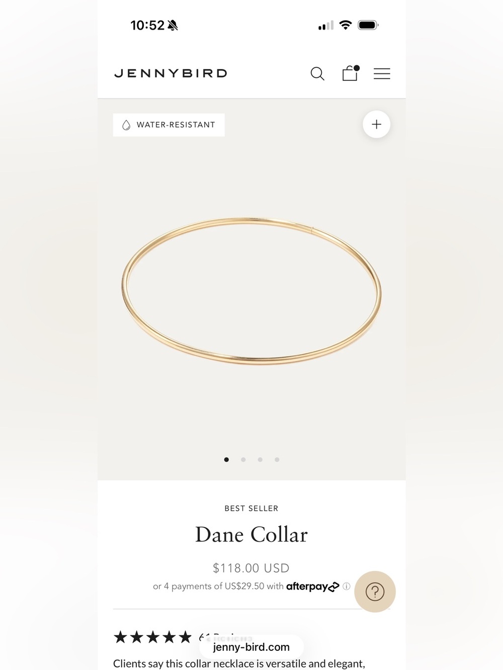 Jenny Bird Gold Dane Collar Necklace